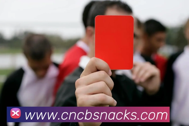 彩神vll服务体系